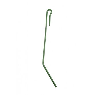 953558 Spyruoklė Amazone