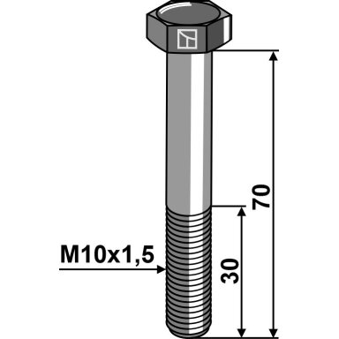 Varžtas su šešiakampe galvute  M10x1,5x70 be veržlės