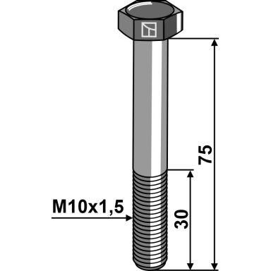 Varžtas su šešiakampe galvute M10x1,5x75 be veržlės