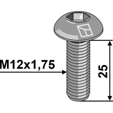 Varžtas plokščia galvute M12x1,75x25 with hexagon socket