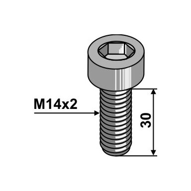 Varžtas su vidiniu šešiakampiu - M14x2 - 10.9