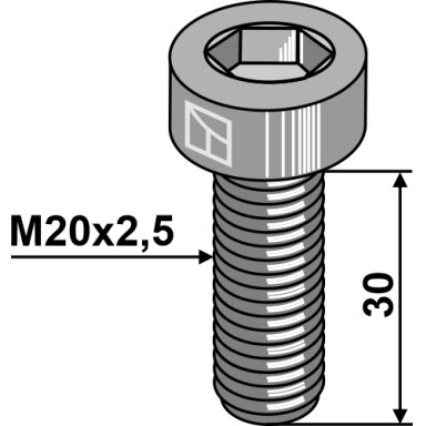 Varžtas su vidiniu šešiakampiu - M20x2,5 - 10.9