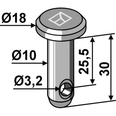 Kaištis Ø10x30