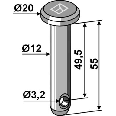 Kaištis Ø12x55