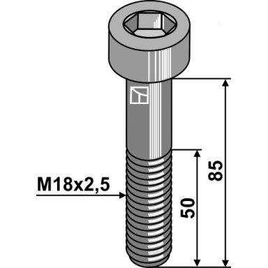 Varžtas su vidiniu šešiakampiu - M18x2,5 - 10.9 Varžtas su vidiniu šešiakampiu - M18x2,5 - 10.9