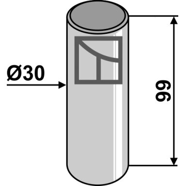 Kaištis Ø30