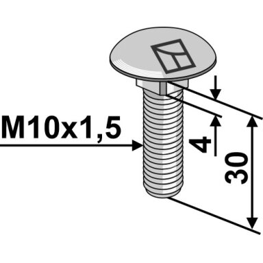 Varžtas plokščia galvute M10x1,5x30 without nut