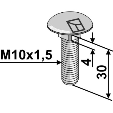 Varžtas plokščia galvute M10x1,5x30 without nut
