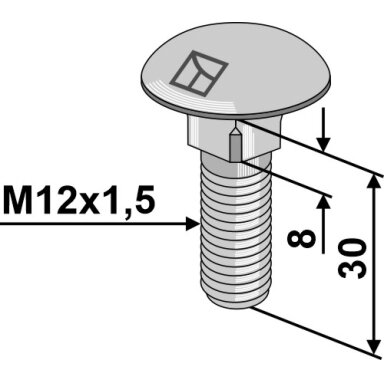 Varžtas plokščia galvute M12x1,5x30 without nut