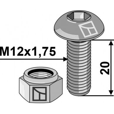 Varžtas plokščia galvute with hexagon socket M12x1,75x20 - galvanized - with nut 1