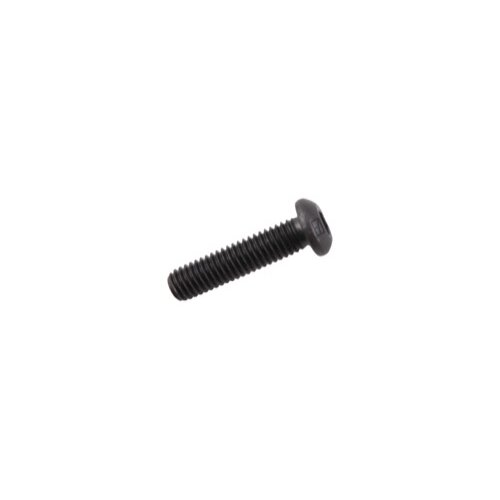 Varžtas plokščia galvute M6x1x25 with hexagon socket