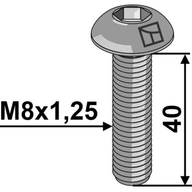Varžtas plokščia galvute M8x1,25x40 with hexagon socket with nut