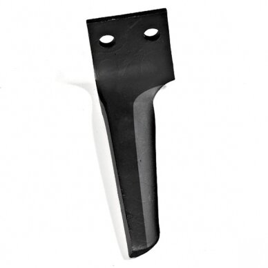 Frezos dantis, dešinė