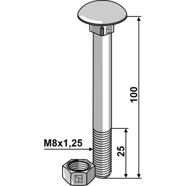 Varžtas M8x1,25x100 su veržle, cinkuotas