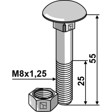 Varžtas M8x1,25x55 su veržle, cinkuotas